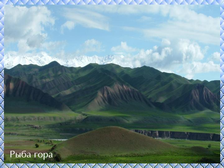 Рыба гора